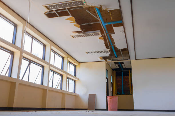 Best Emergency water damage restoration  in Annandale, MN