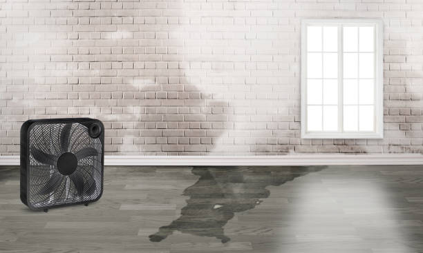 Reliable Annandale, MN Water damage restoration Solutions