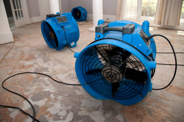 Best Commercial water damage restoration  in Annandale, MN