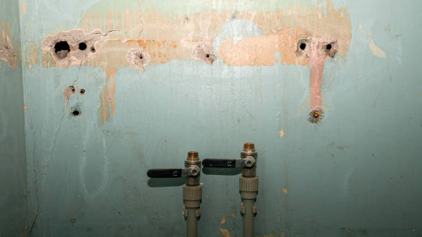 Best Flood damage cleanup  in Annandale, MN