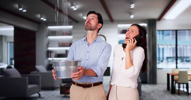 Best Water damage restoration near me  in Annandale, MN