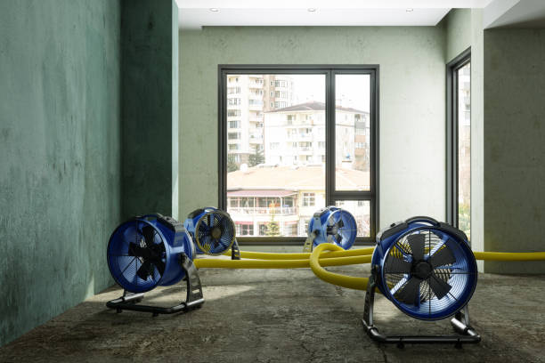 Best Fire Damage Restoration  in Annandale, MN